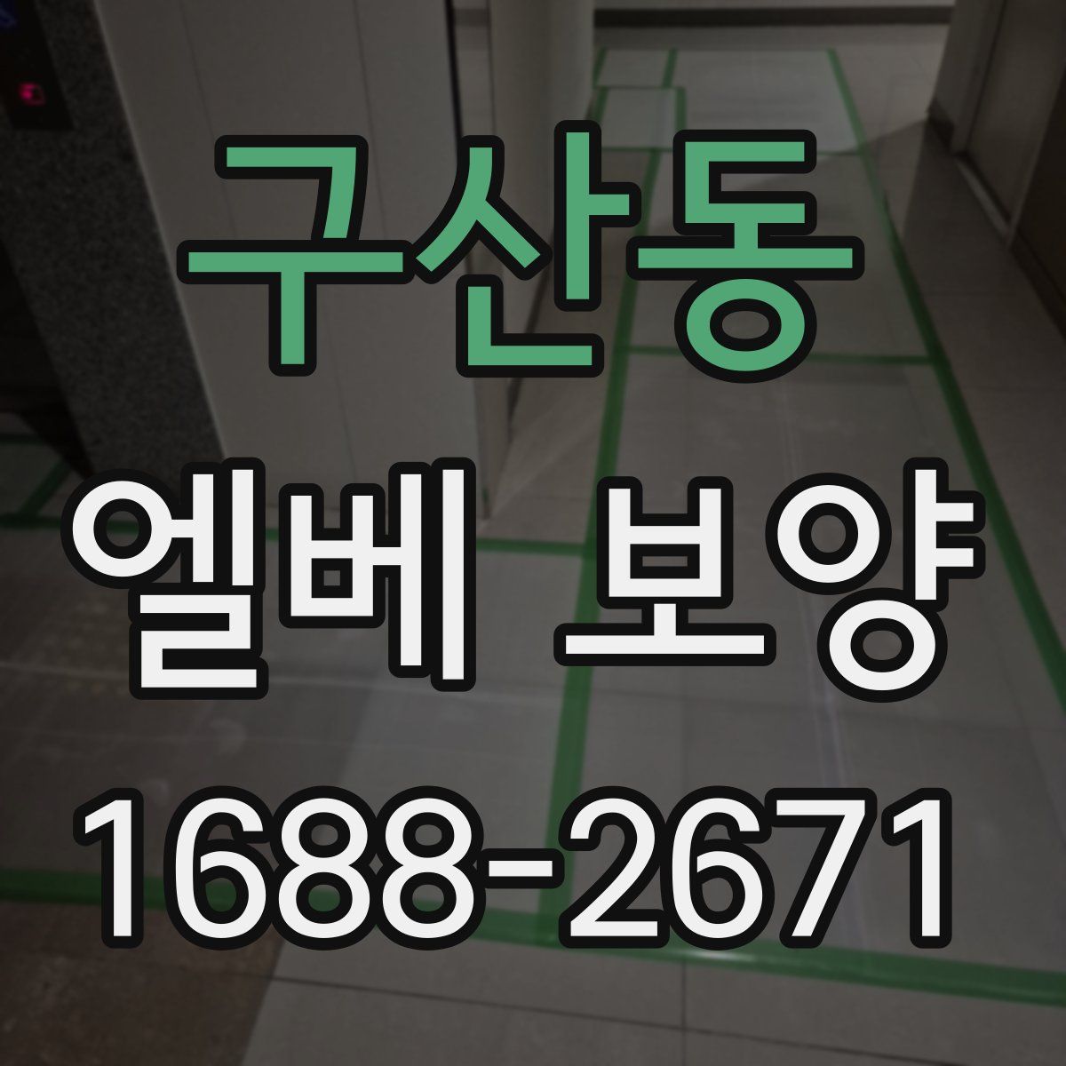 구산동 엘베 보양