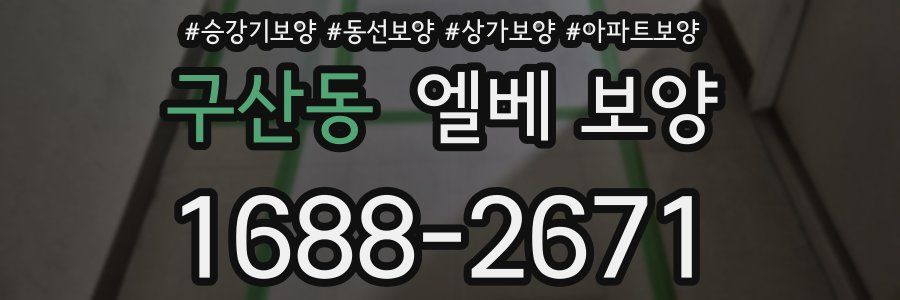 구산동 엘베 보양
