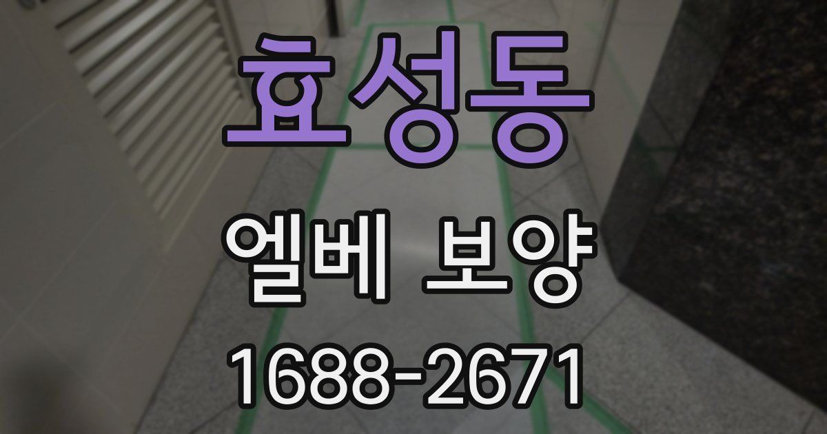 효성동 엘베 보양
