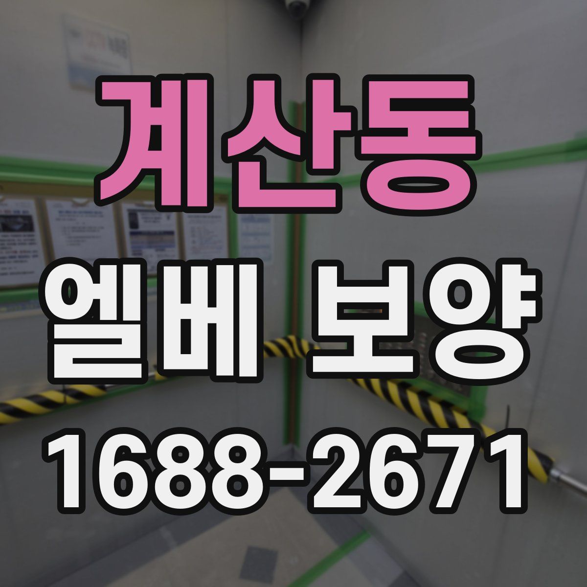 계산동 엘베 보양
