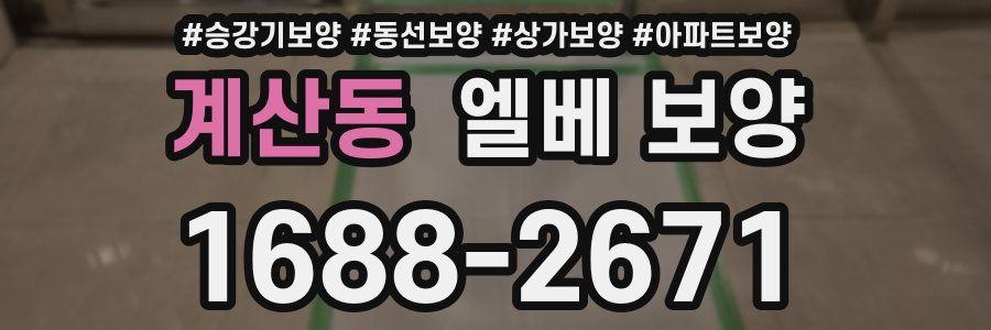계산동 엘베 보양