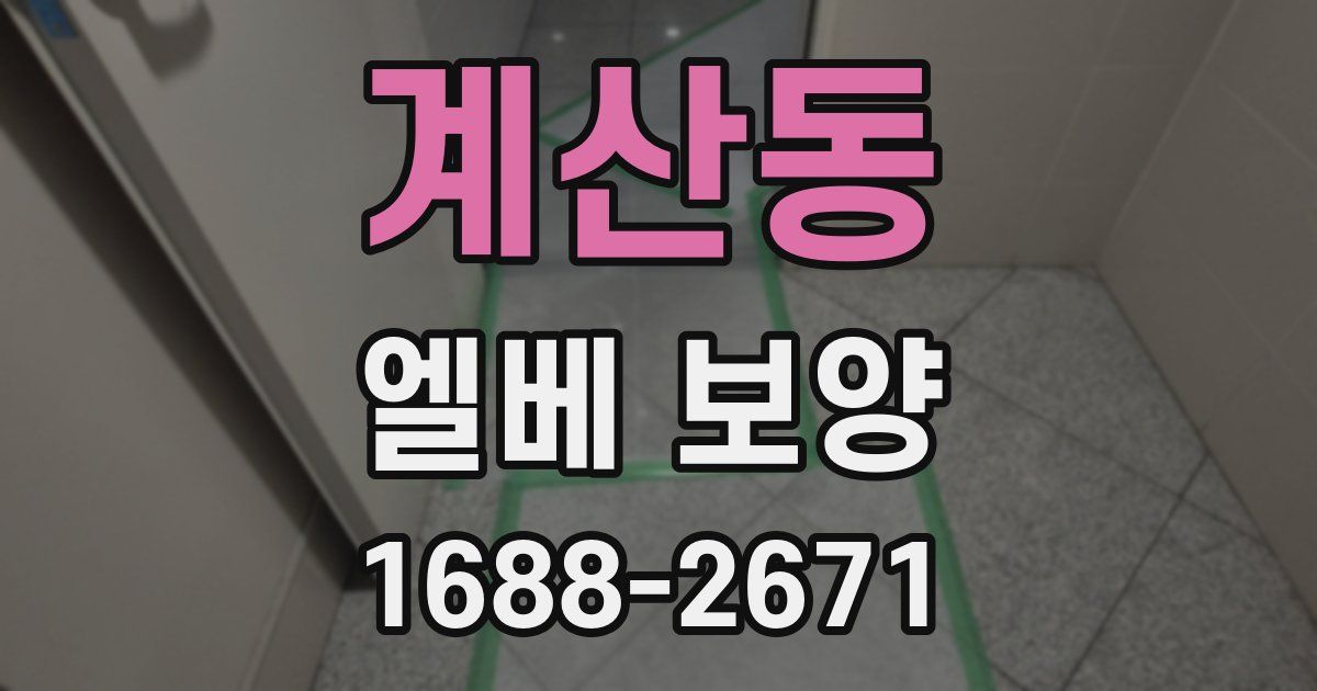 계산동 엘베 보양