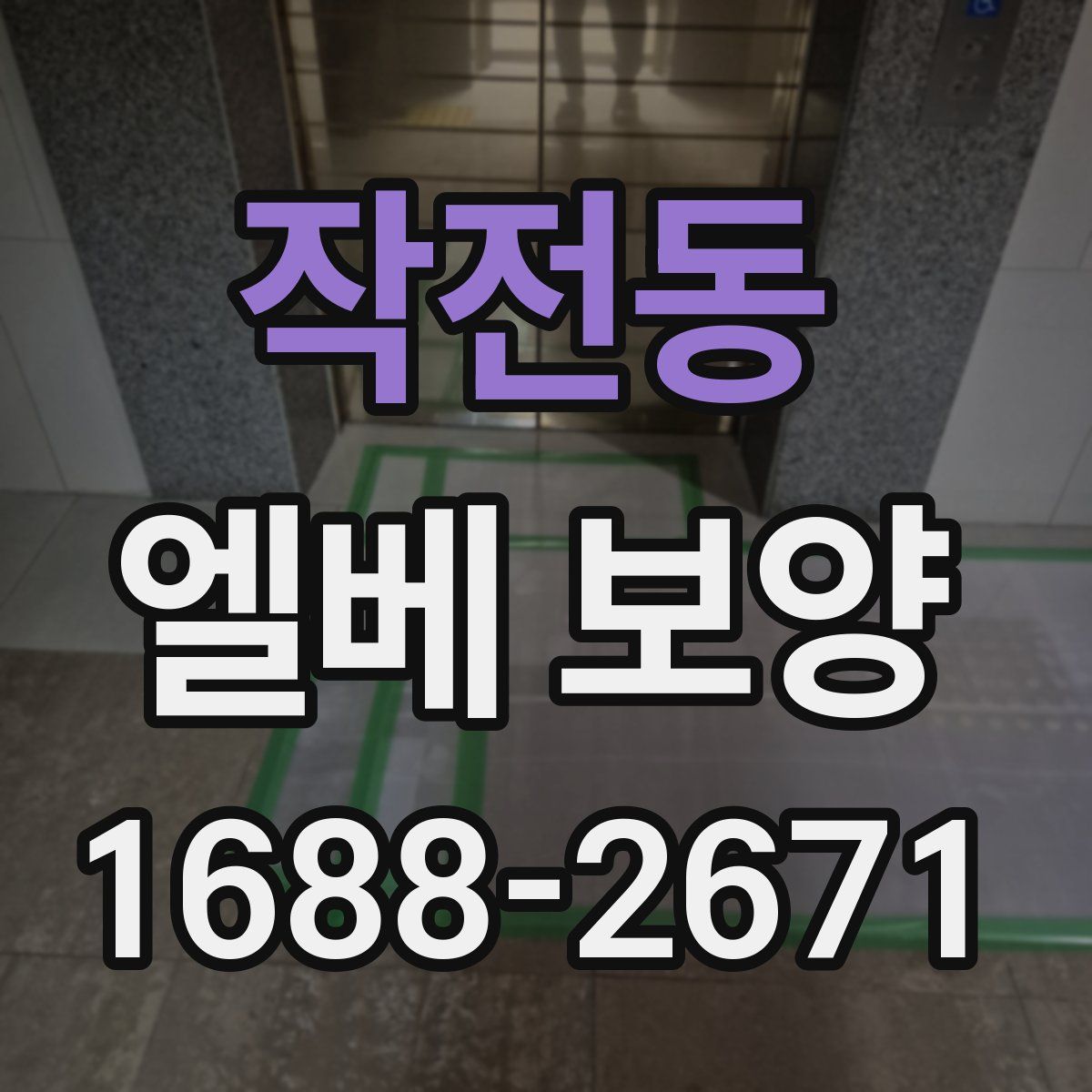 작전동 엘베 보양