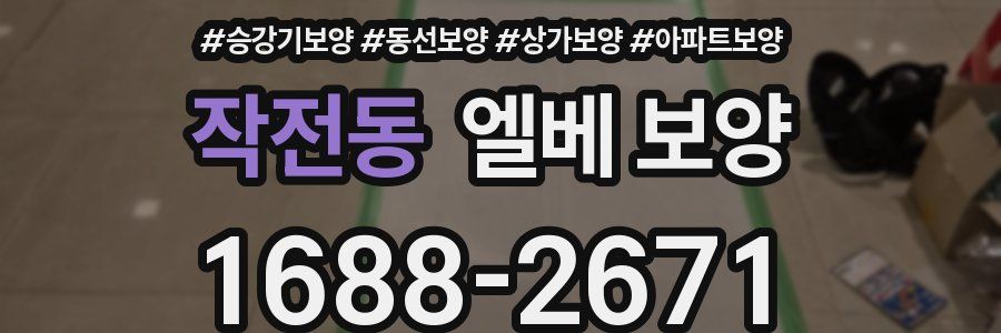 작전동 엘베 보양