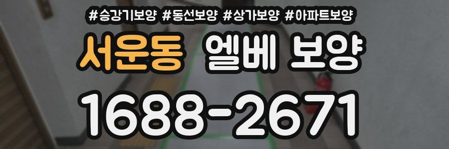 서운동 엘베 보양