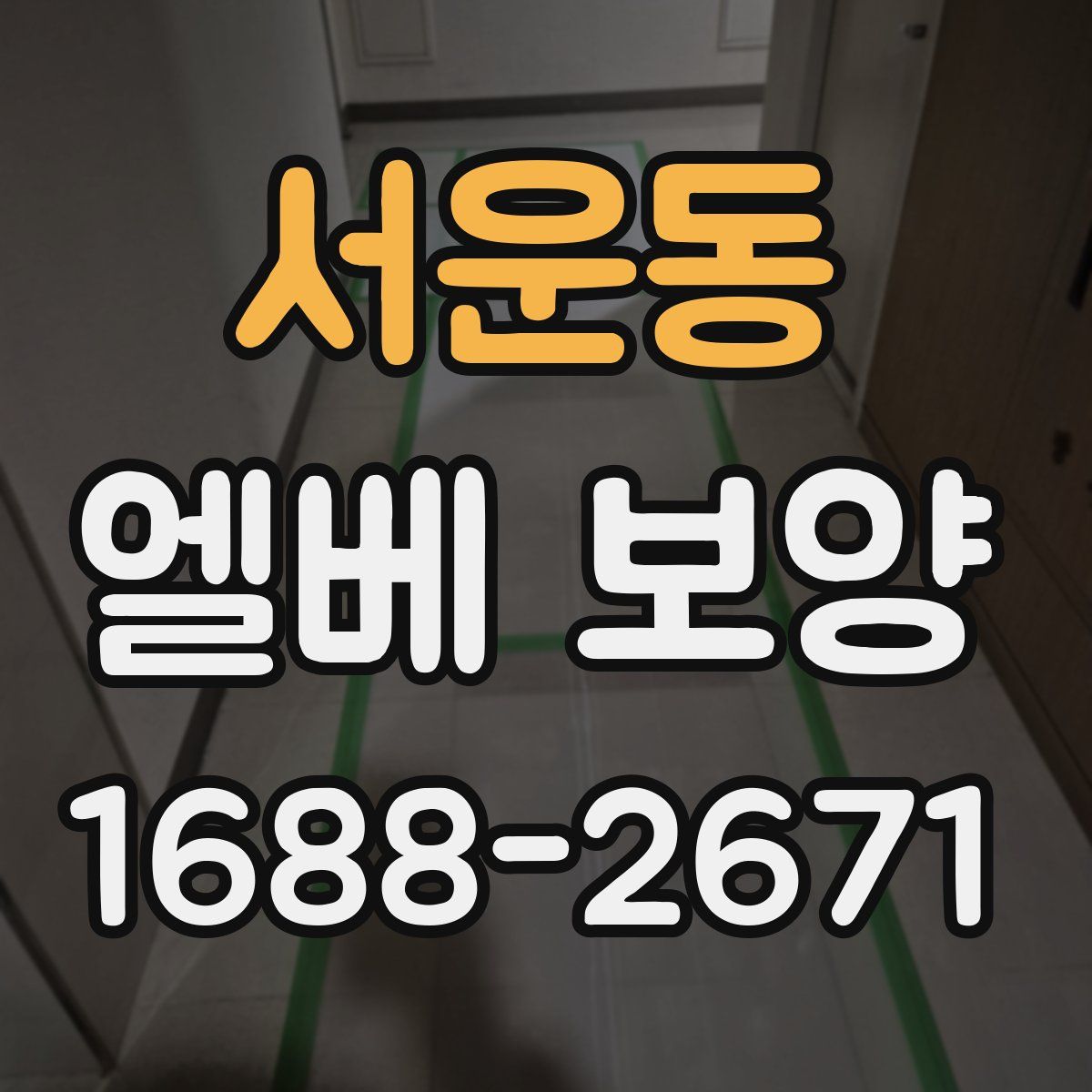 서운동 엘베 보양
