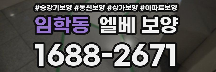 임학동 엘베 보양