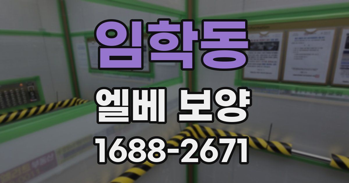 임학동 엘베 보양