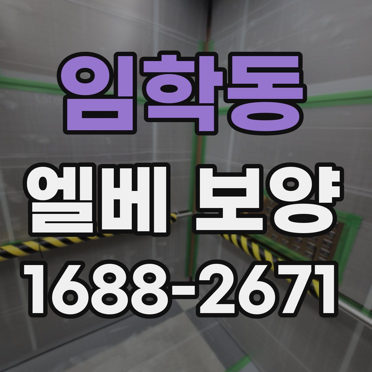 임학동 엘베 보양