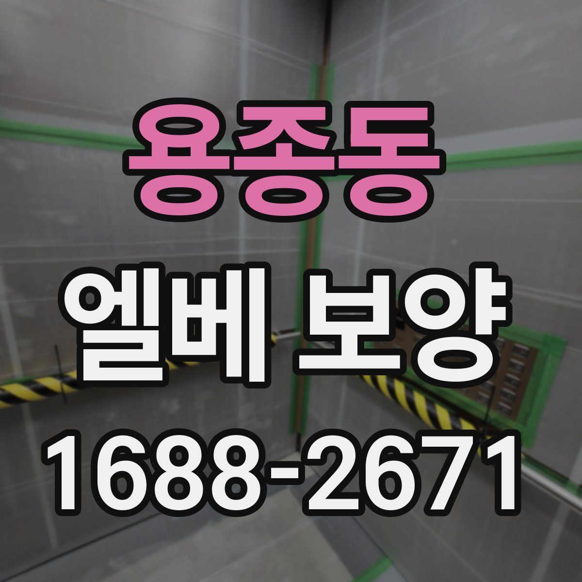 용종동 엘베 보양