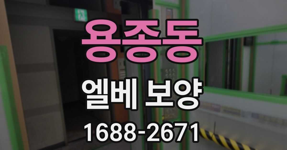 용종동 엘베 보양