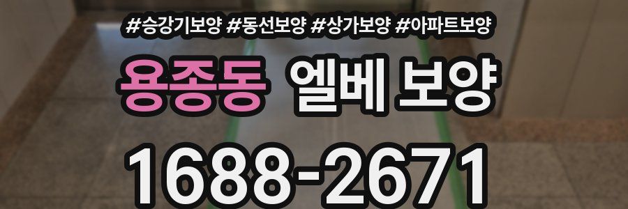 용종동 엘베 보양