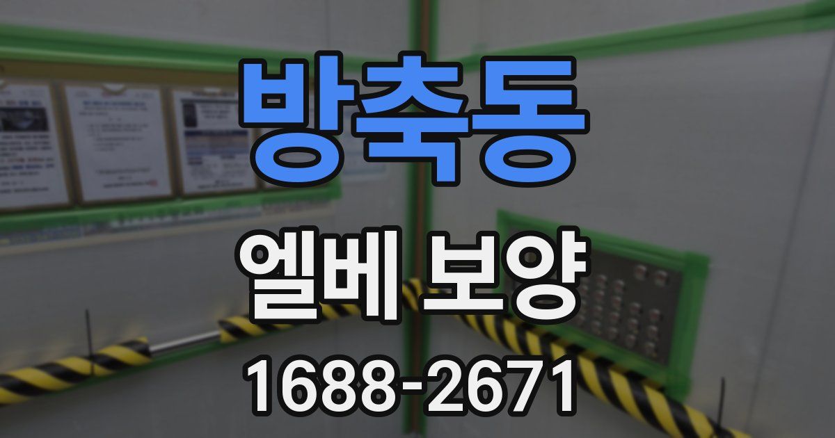 방축동 엘베 보양