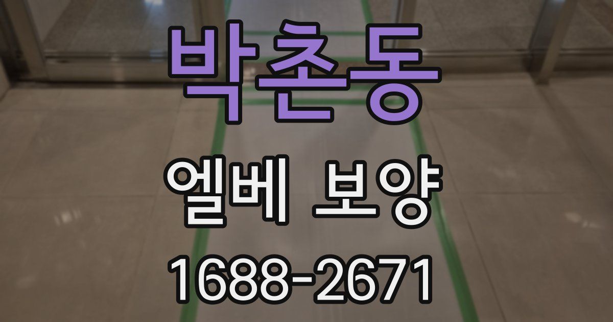 박촌동 엘베 보양