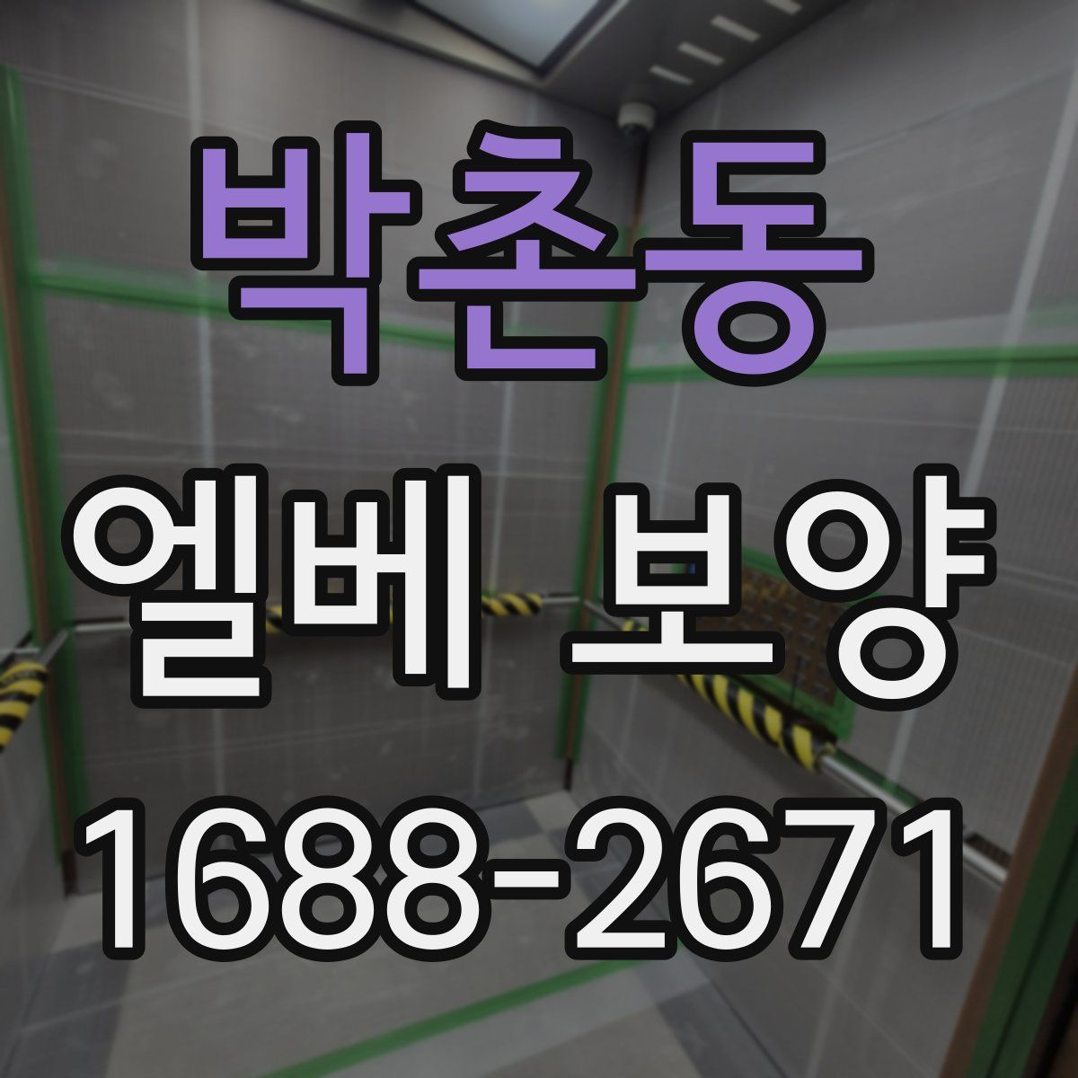 박촌동 엘베 보양