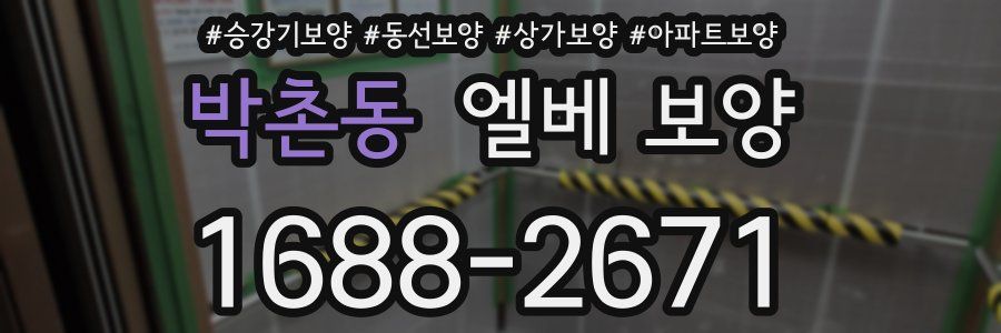 박촌동 엘베 보양