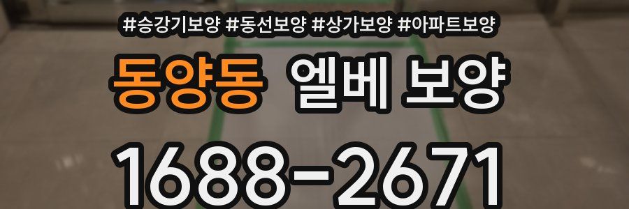 동양동 엘베 보양
