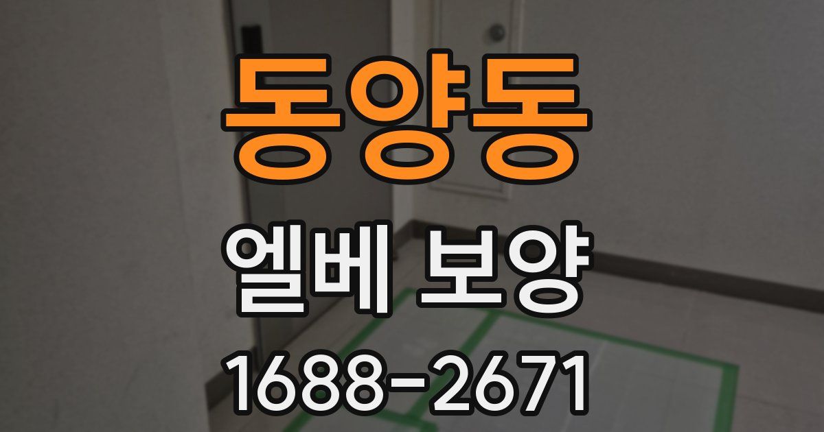 동양동 엘베 보양