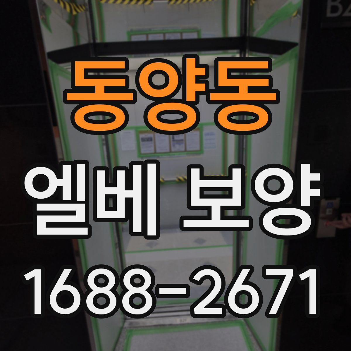 동양동 엘베 보양