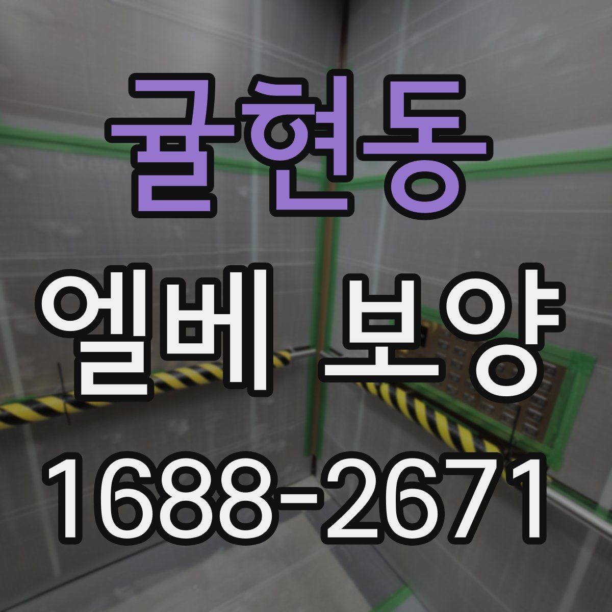 귤현동 엘베 보양
