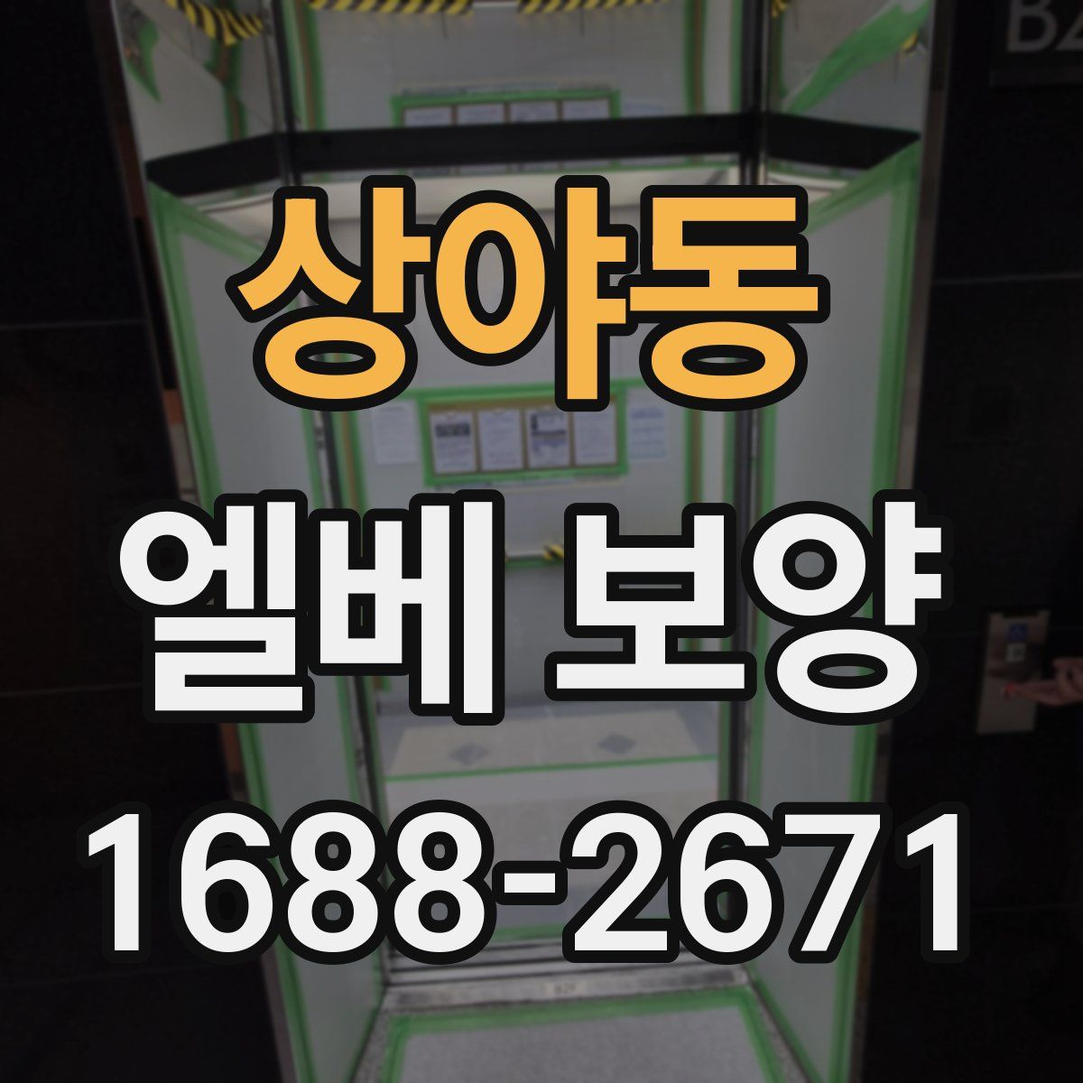 상야동 엘베 보양