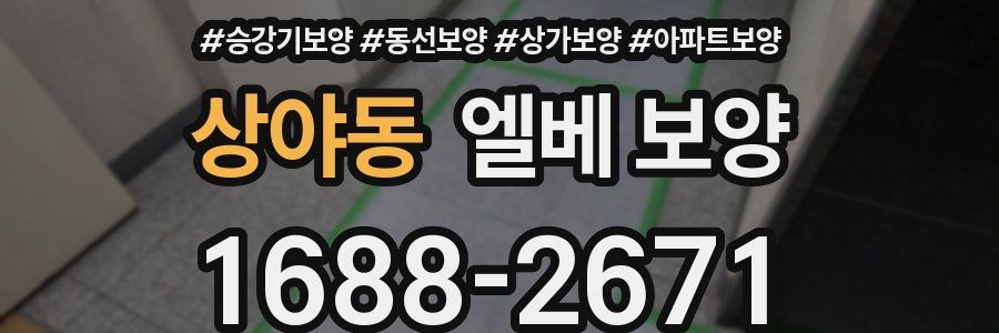 상야동 엘베 보양