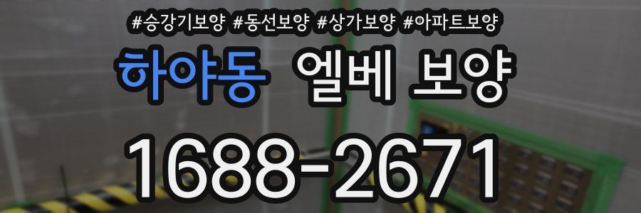하야동 엘베 보양