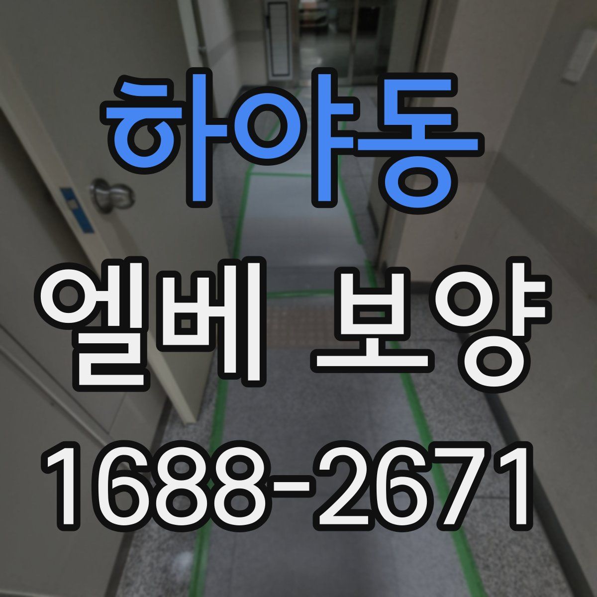 하야동 엘베 보양