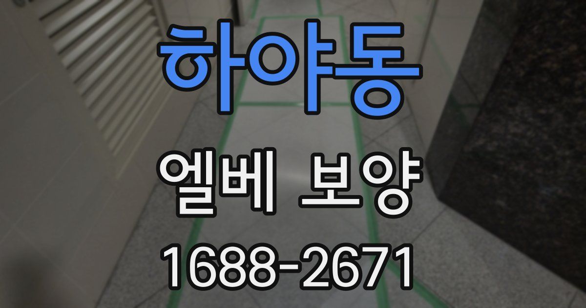 하야동 엘베 보양