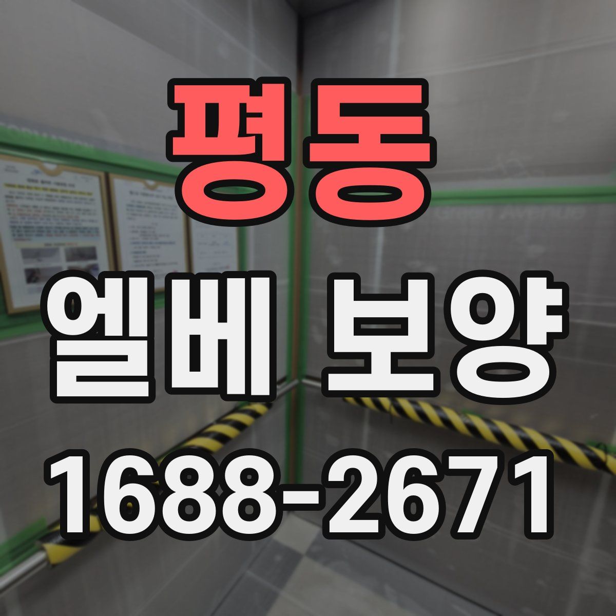 평동 엘베 보양