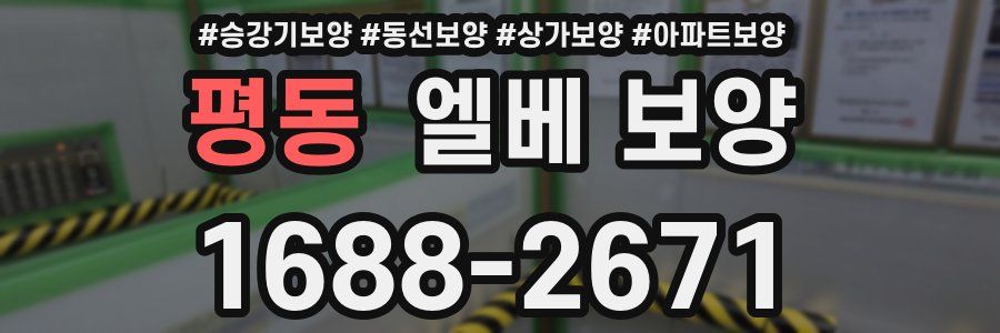 평동 엘베 보양