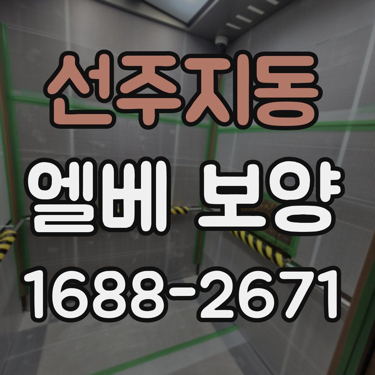 선주지동 엘베 보양