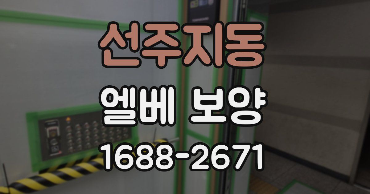 선주지동 엘베 보양