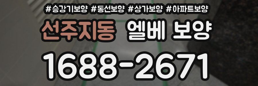 선주지동 엘베 보양