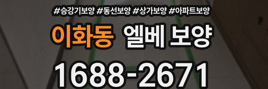 이화동 엘베 보양