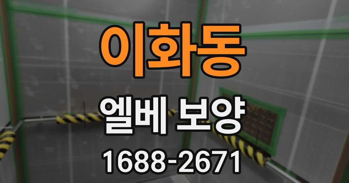이화동 엘베 보양
