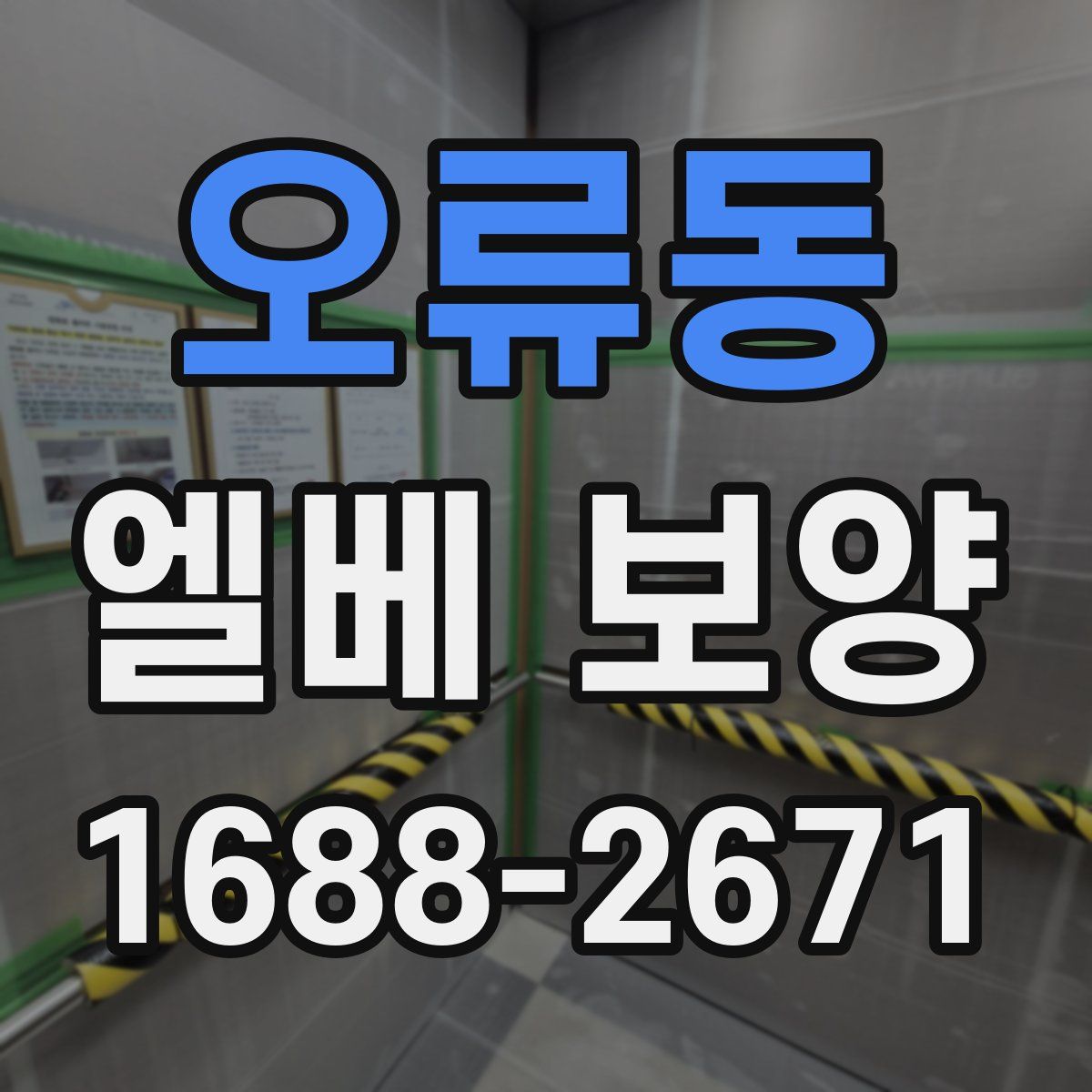 오류동 엘베 보양