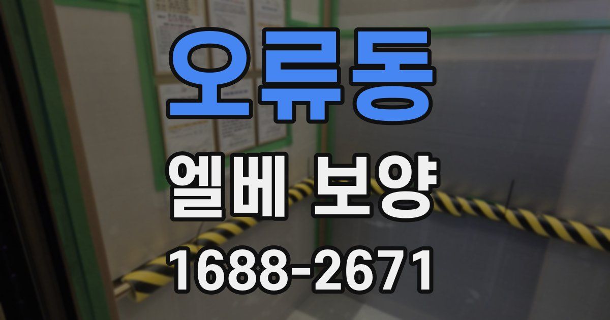 오류동 엘베 보양
