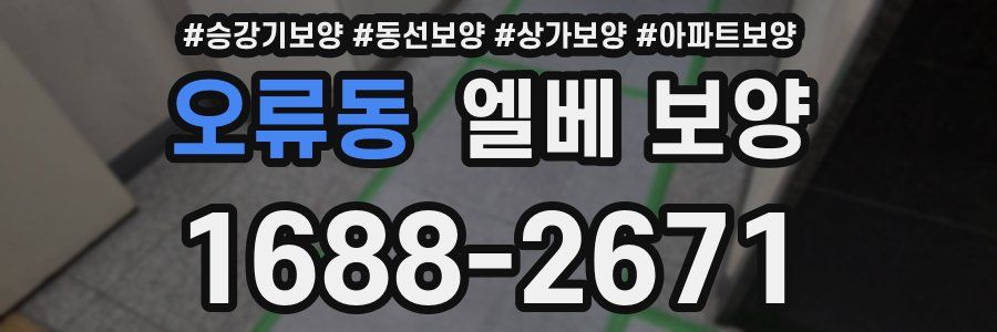 오류동 엘베 보양