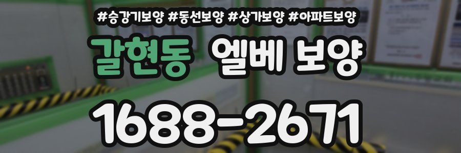 갈현동 엘베 보양