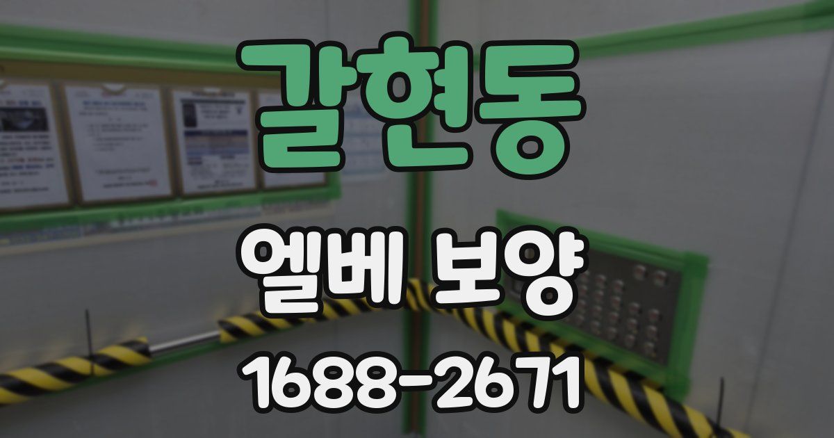 갈현동 엘베 보양