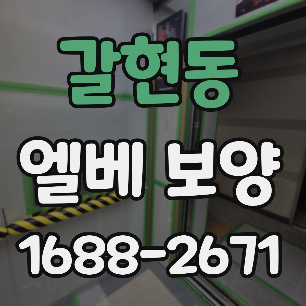 갈현동 엘베 보양