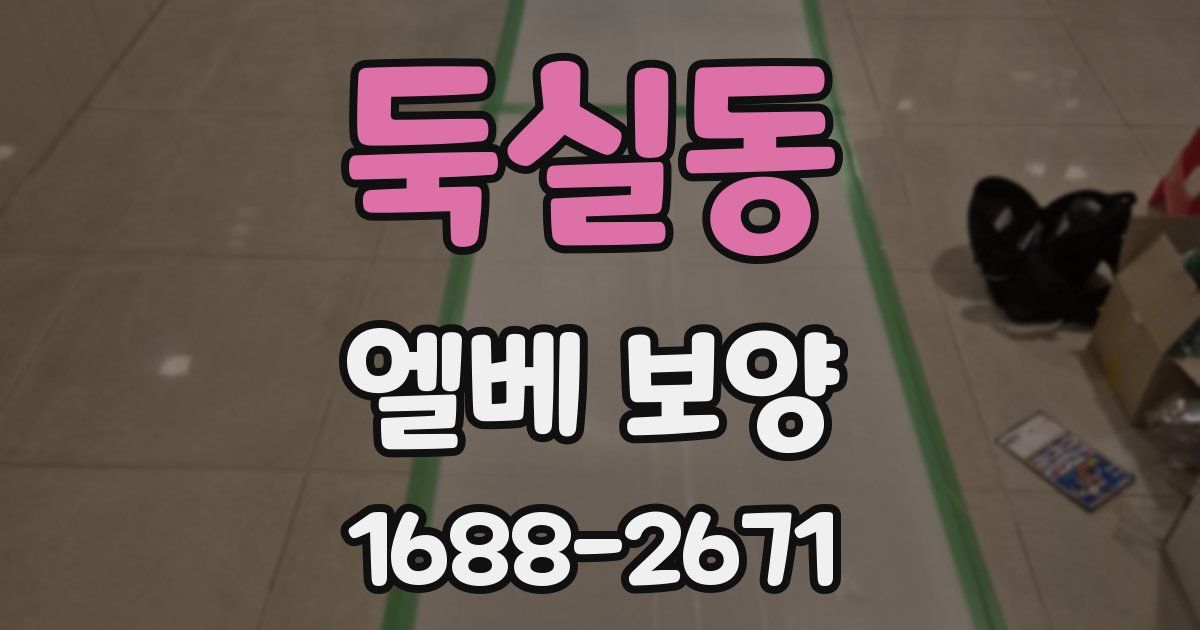 둑실동 엘베 보양