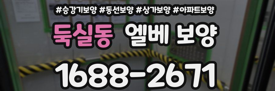 둑실동 엘베 보양