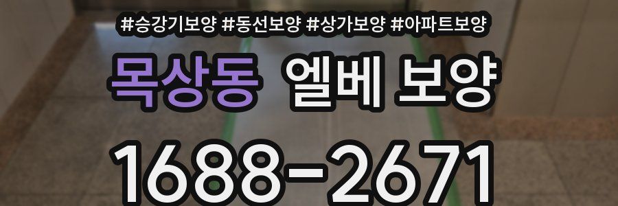 목상동 엘베 보양