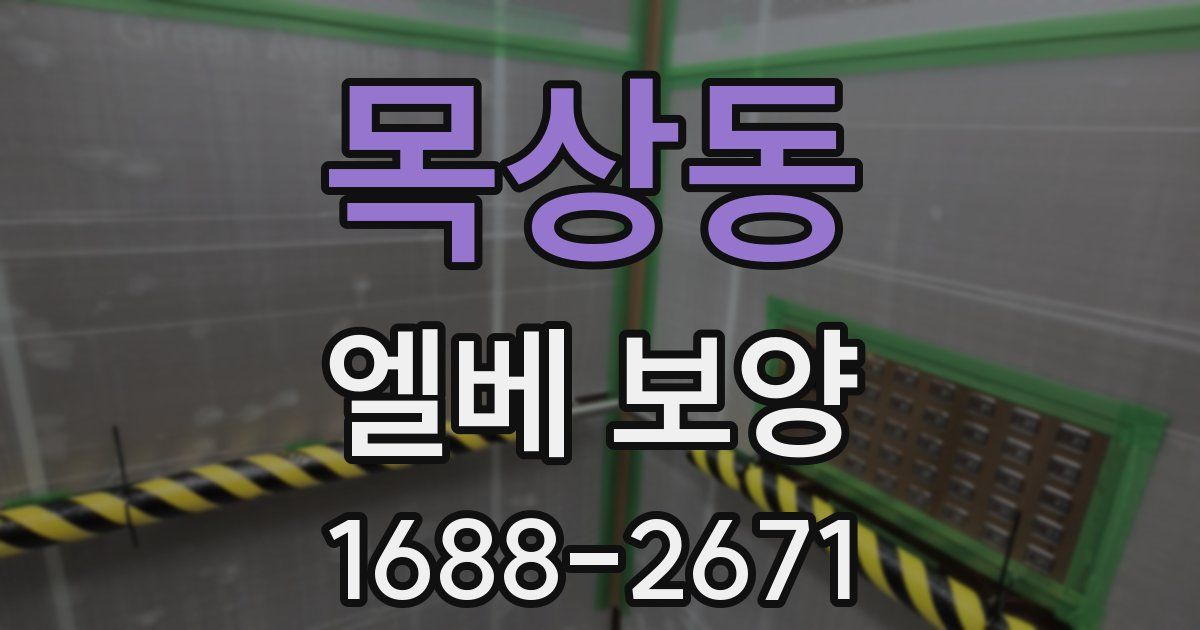 목상동 엘베 보양