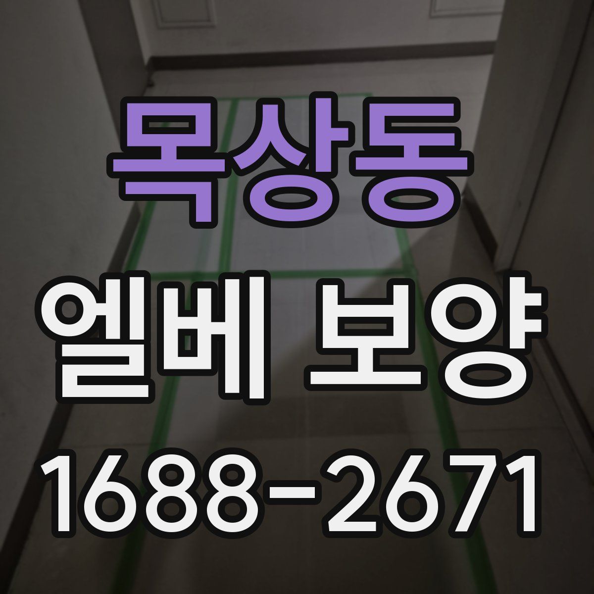 목상동 엘베 보양