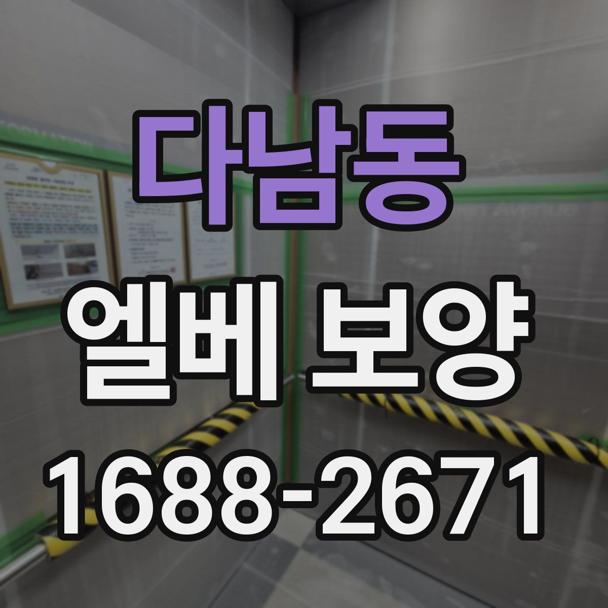 다남동 엘베 보양