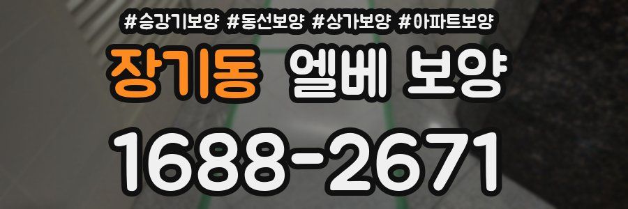 장기동 엘베 보양