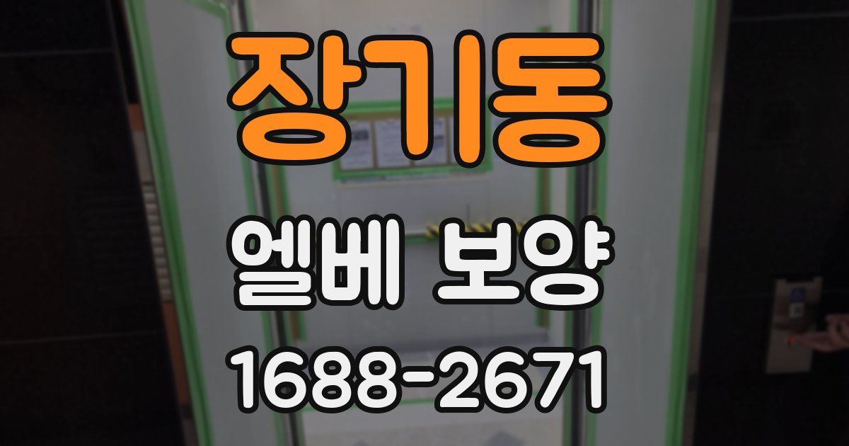 장기동 엘베 보양